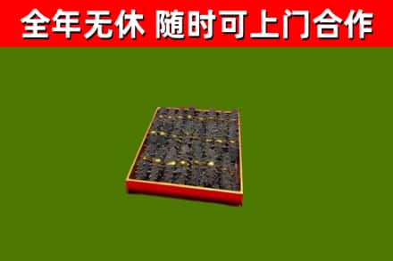 石屏回收海参